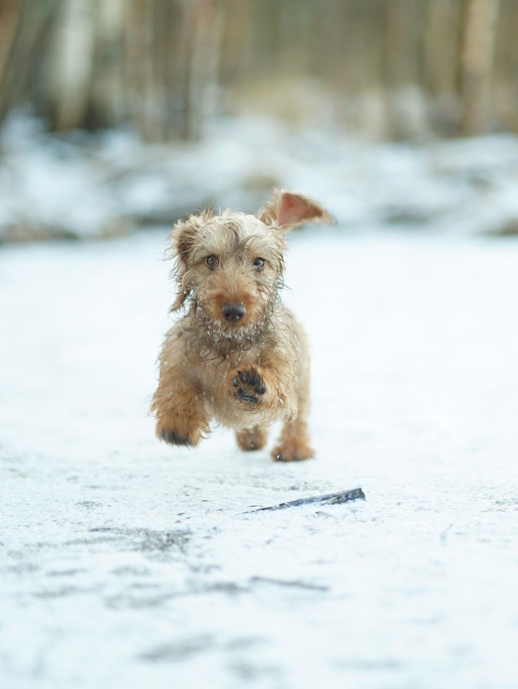 Photograph by Алина