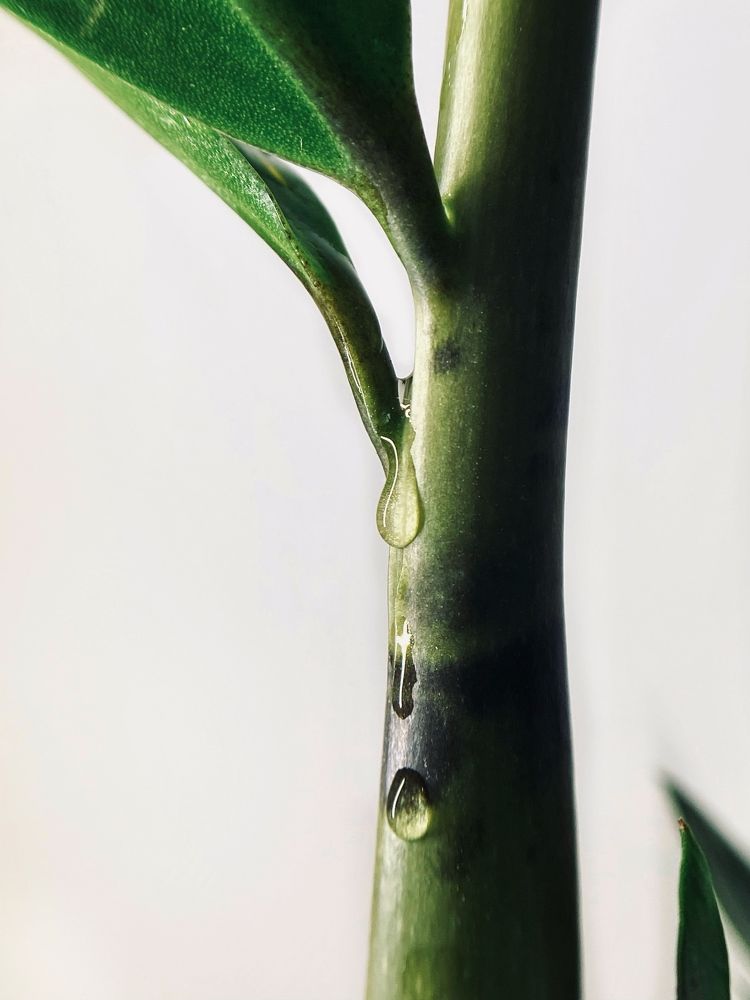 Photograph by Станислава Садыкова