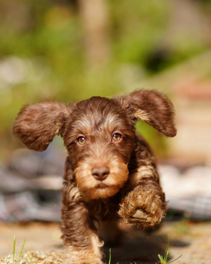 Photograph by Алина