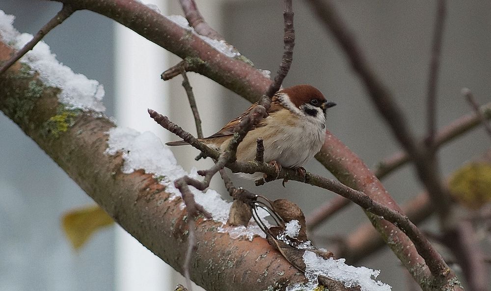 Photograph by Светлана Логинова