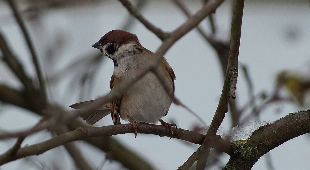 Photograph by Светлана Логинова