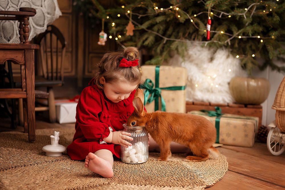 Photograph by Алена Волкова