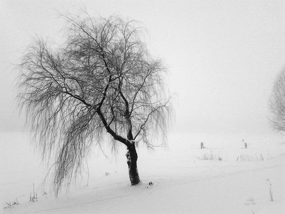 Зимняя рыбалка