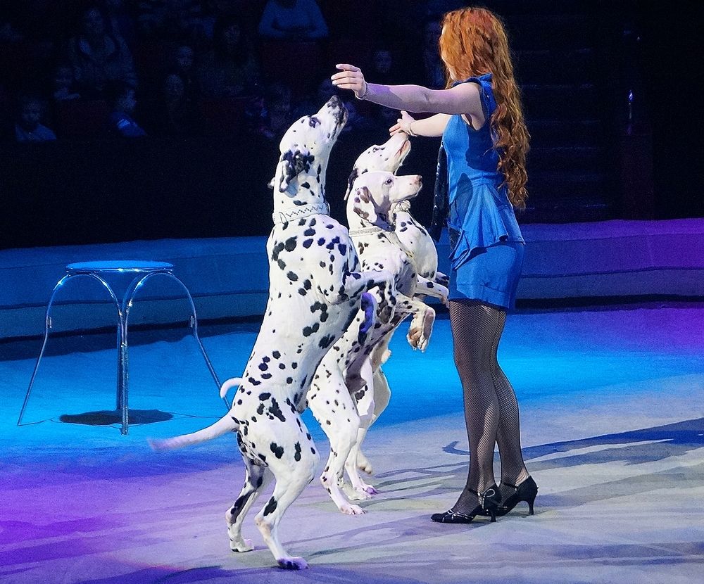 Photograph by Светлана Логинова