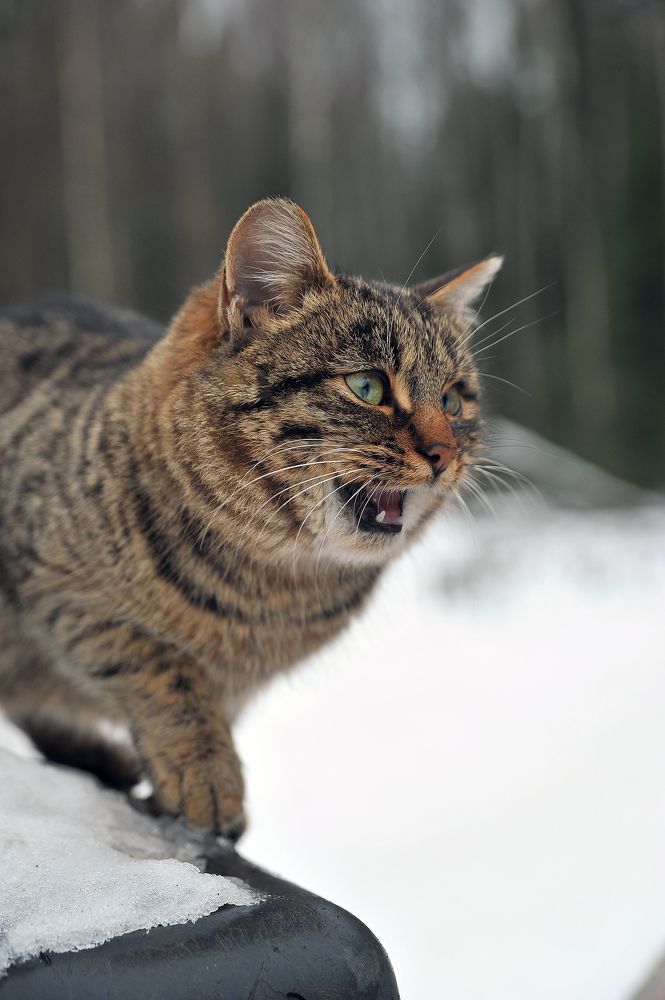 Photograph by Cергей Абакумов