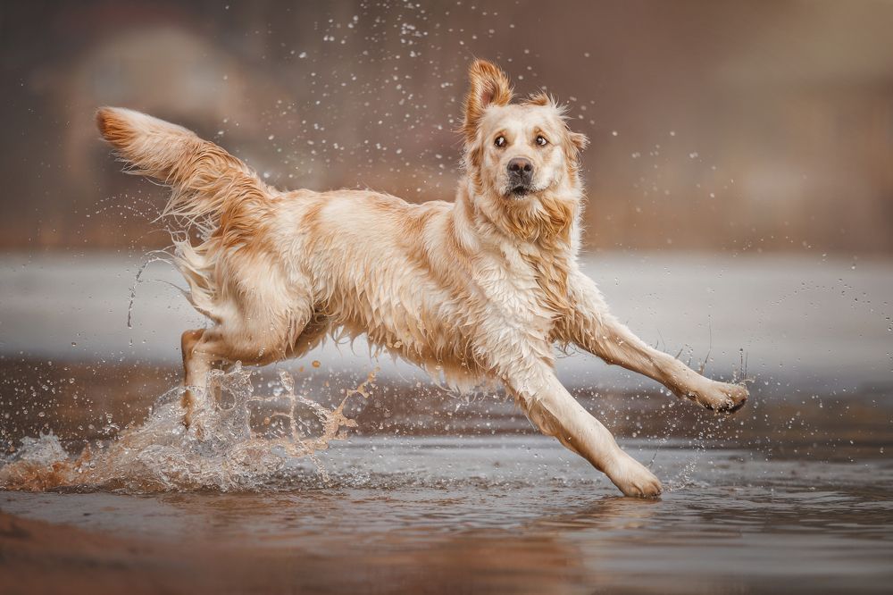 Photograph by Яна Нарбутович