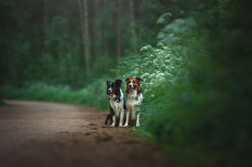 Photograph by Елизавета Романова