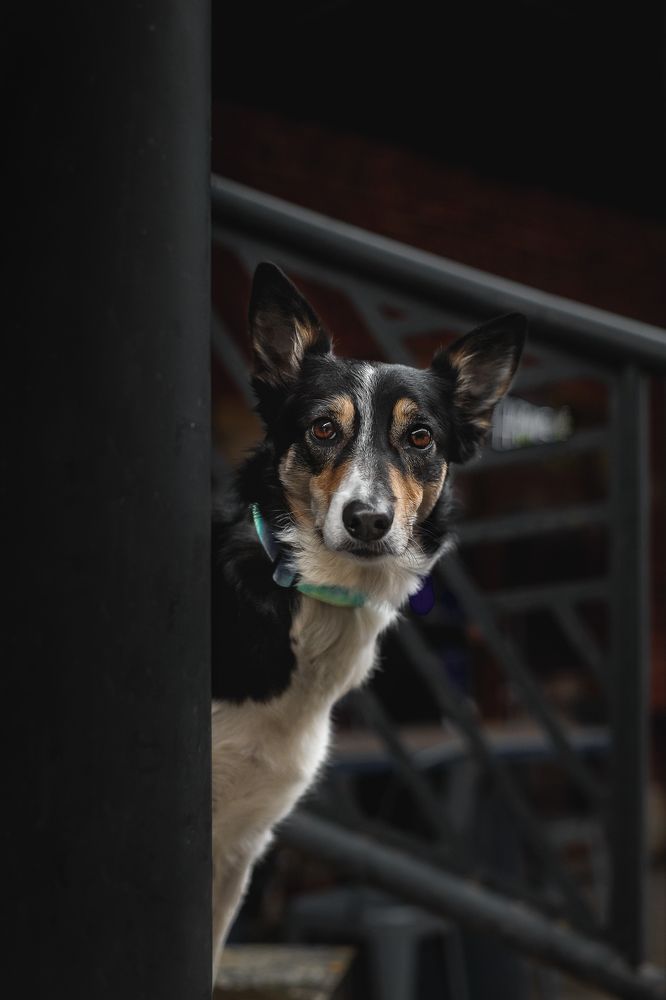 Photograph by Елизавета Романова