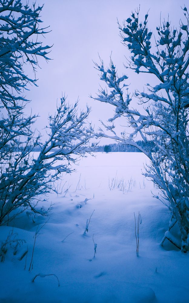 Фотография автора Устинов Владимир