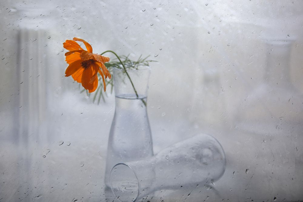 Photograph by Татьяна Назмутдинова