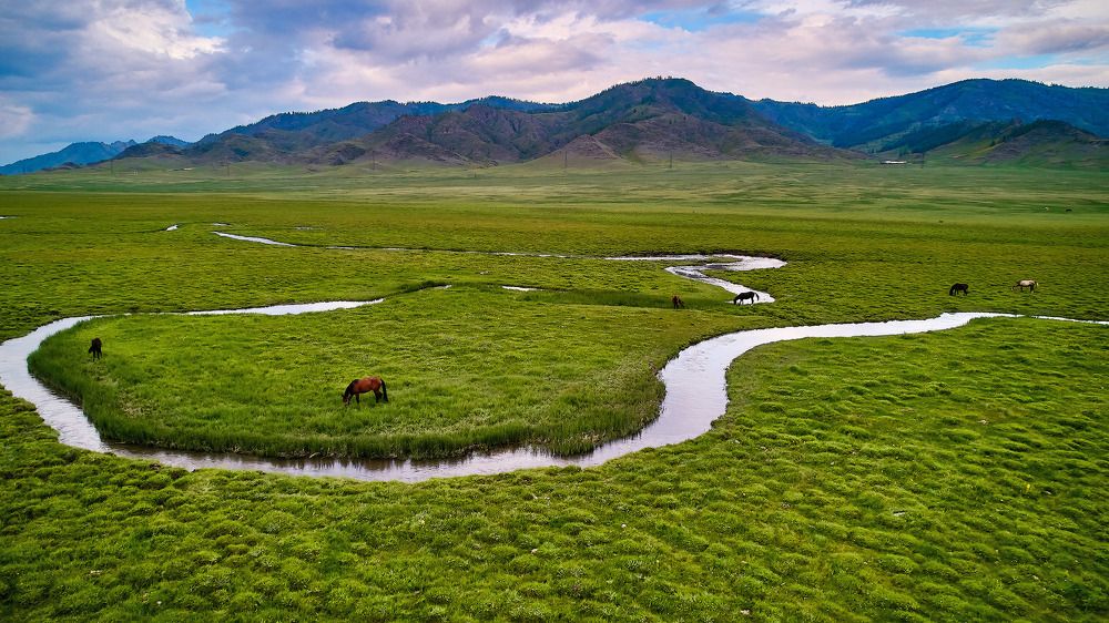 Фотография автора Totoro