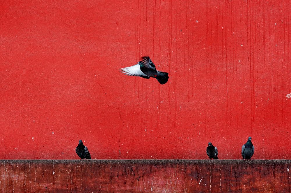 Photograph by Yilmaz Keles