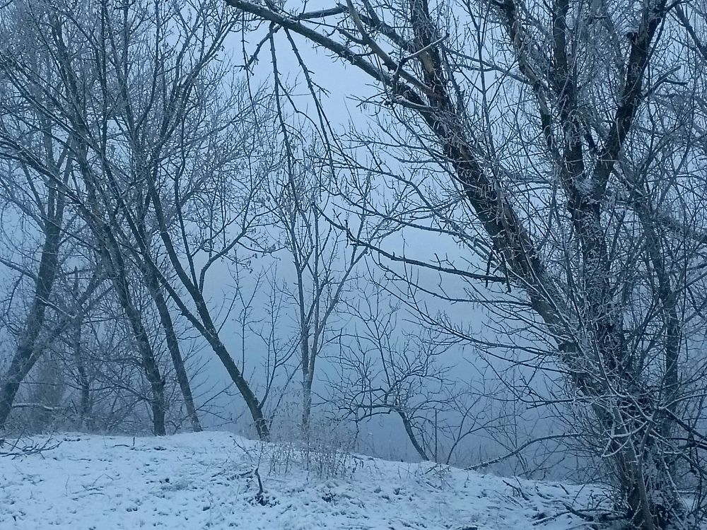 Photograph by Александр Казачек