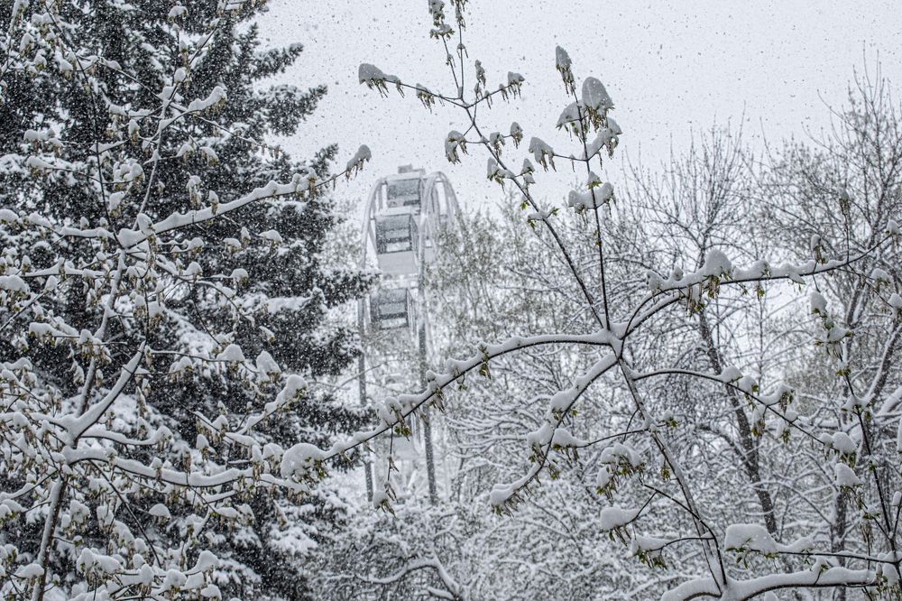 Photograph by Дмитрий Анисимов