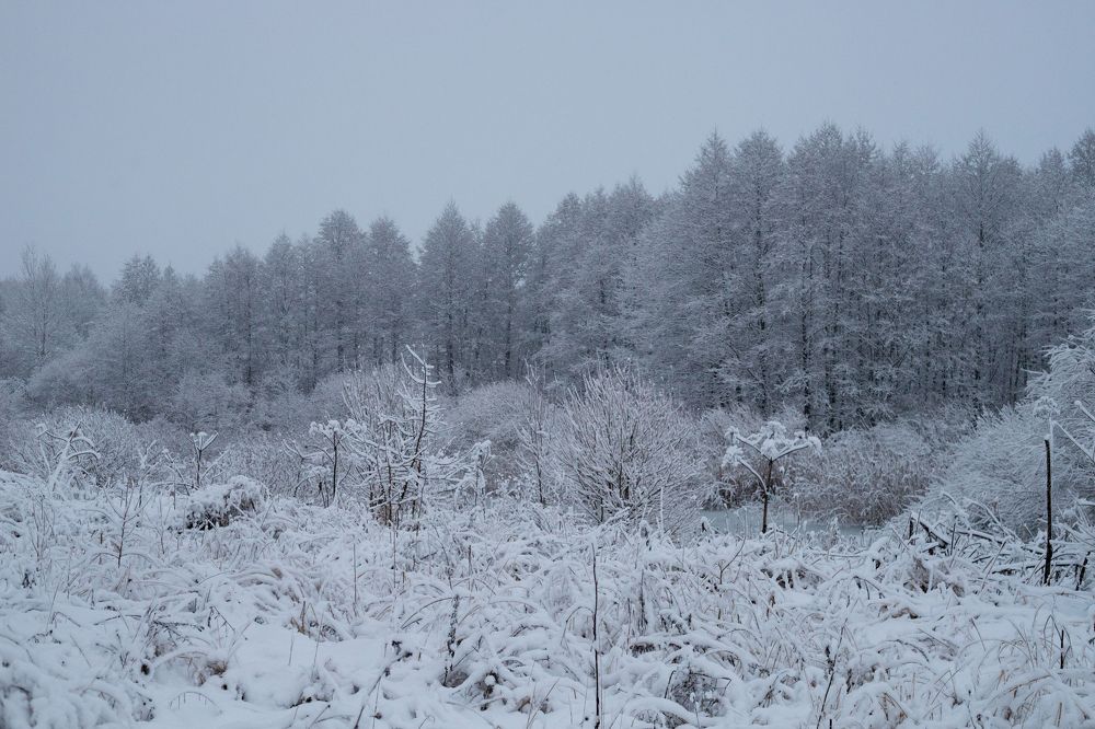 Photograph by Алексей Егоров