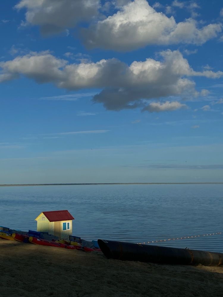 Фотография автора Meline Mikoyan