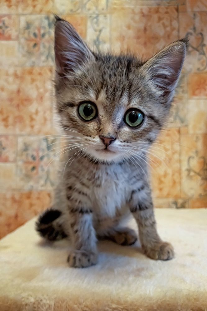 Фотография автора Aleksei Kartashov