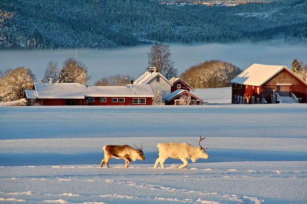 Frosty and sunny day