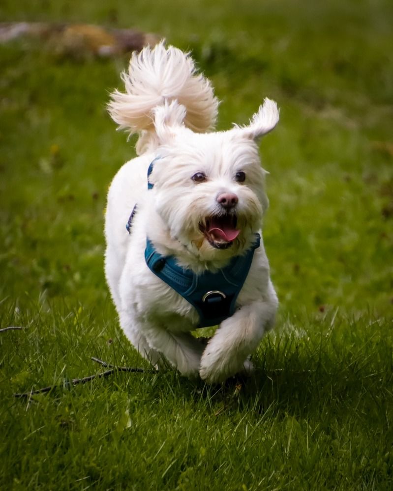 Photograph by Juan Alonso Gutiérrez