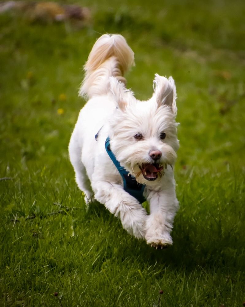 Photograph by Juan Alonso Gutiérrez