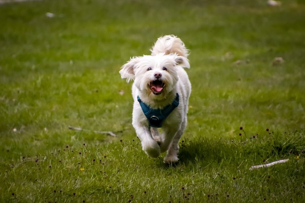 Photograph by Juan Alonso Gutiérrez