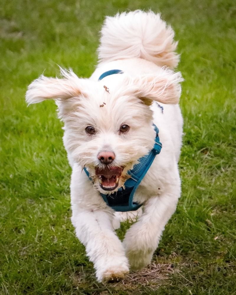 Photograph by Juan Alonso Gutiérrez