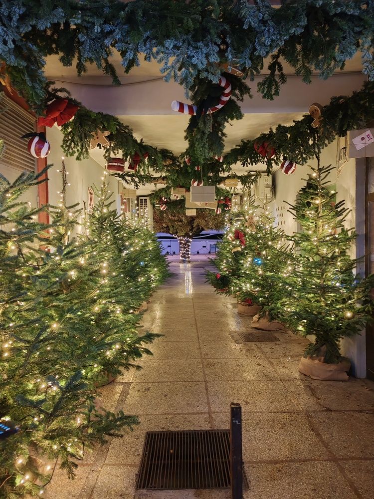 Фотография автора Alena Urlic