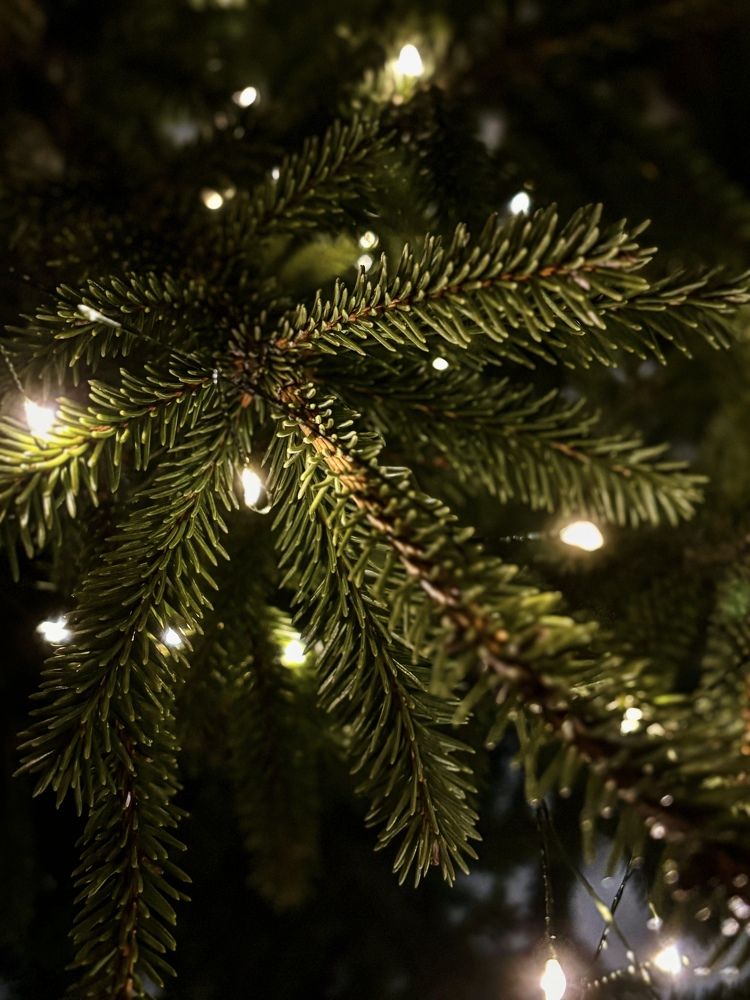 Фотография автора Lilitha Wut