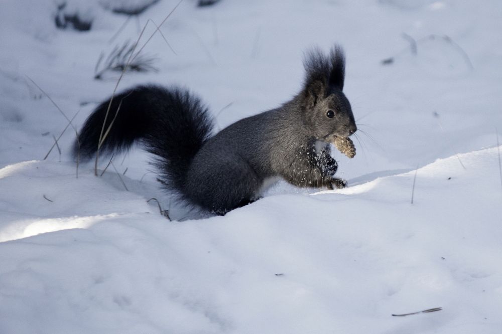 Photograph by Александр Велигура