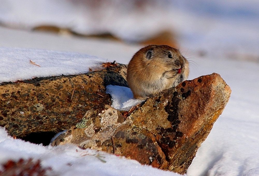 Photograph by Александр Велигура