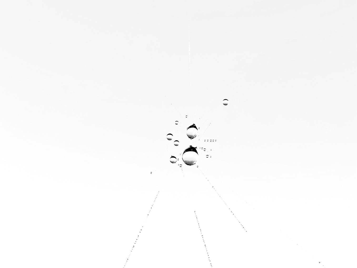 Drops