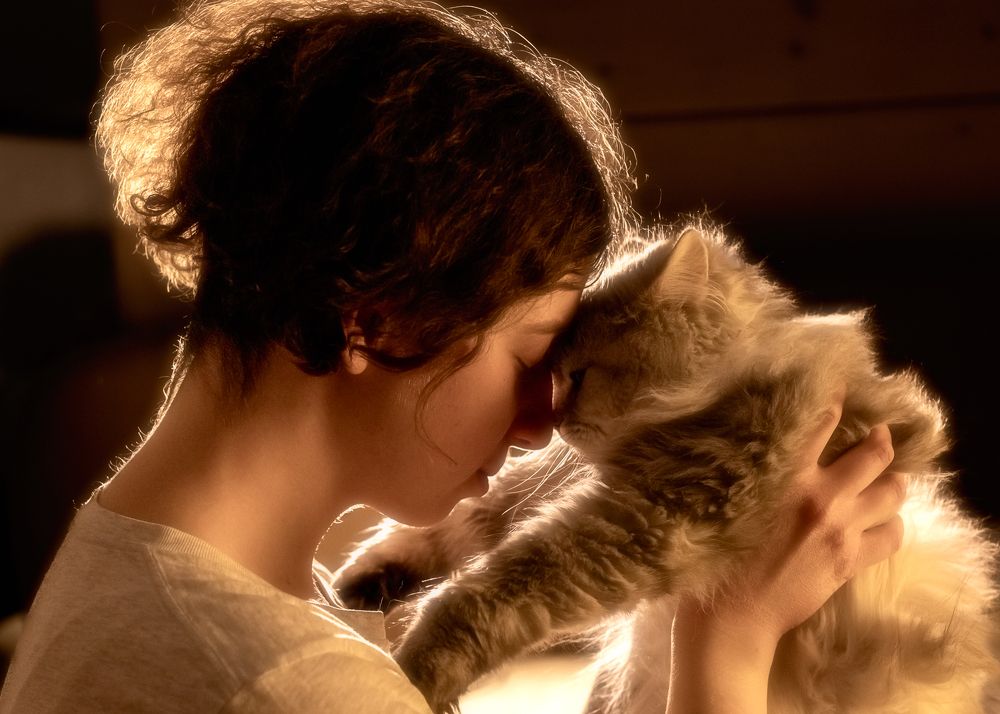 Photograph by Константин Гончаров