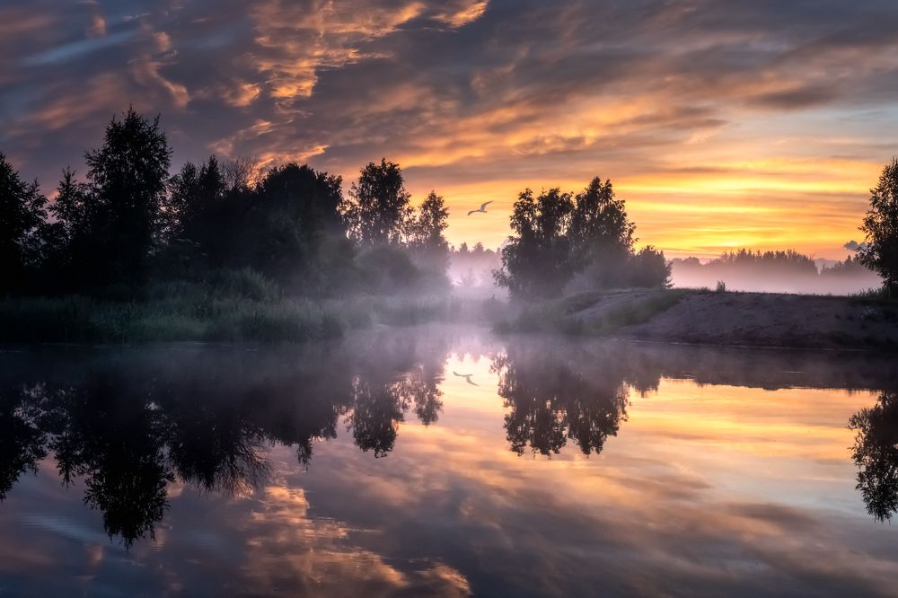 Photograph by Константин Гончаров