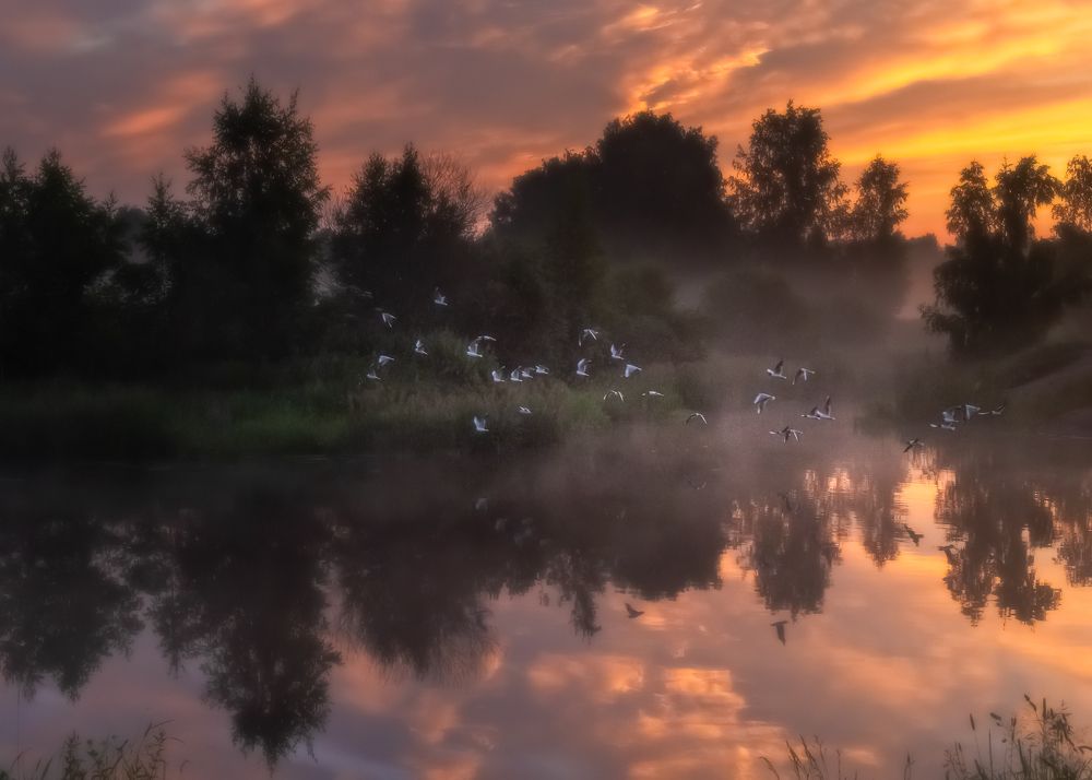 Photograph by Константин Гончаров