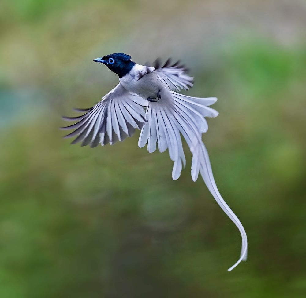 Photograph by Kan Chung Wong