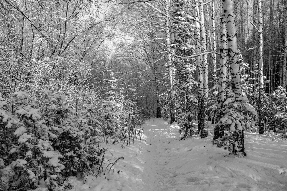 Фотография автора Илья Берт