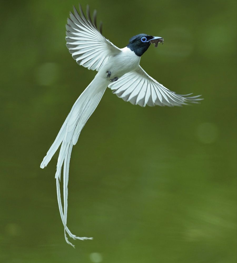 Photograph by Kan Chung Wong