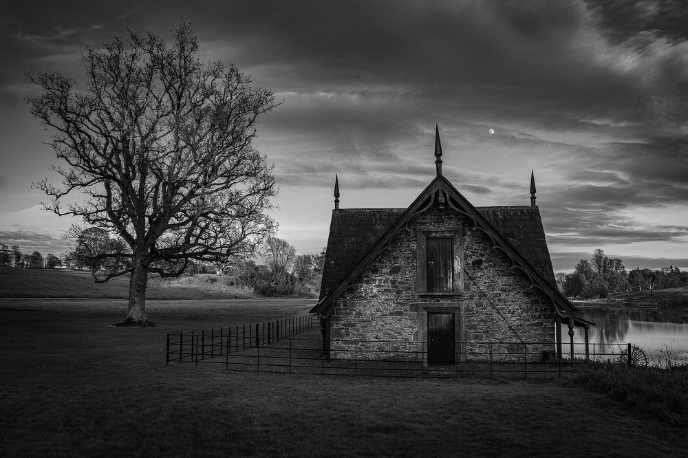 Photograph by grainne toher