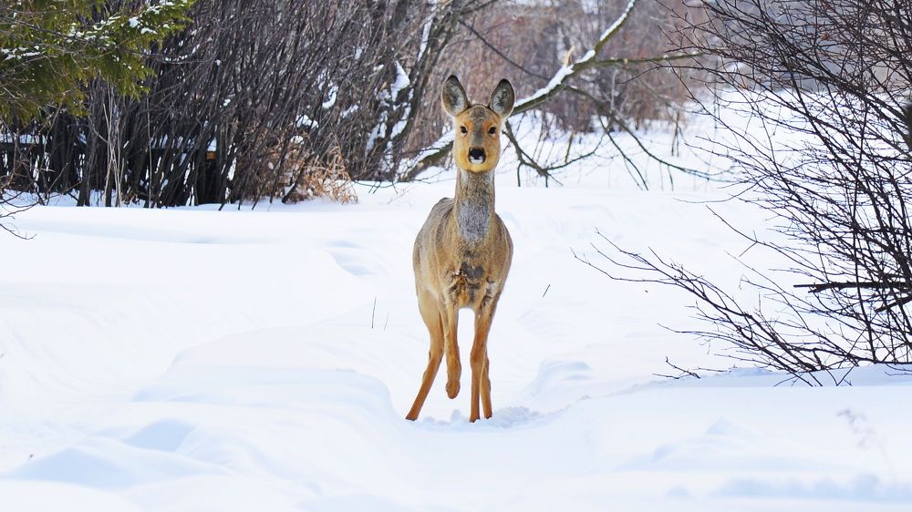 Photograph by Andrey