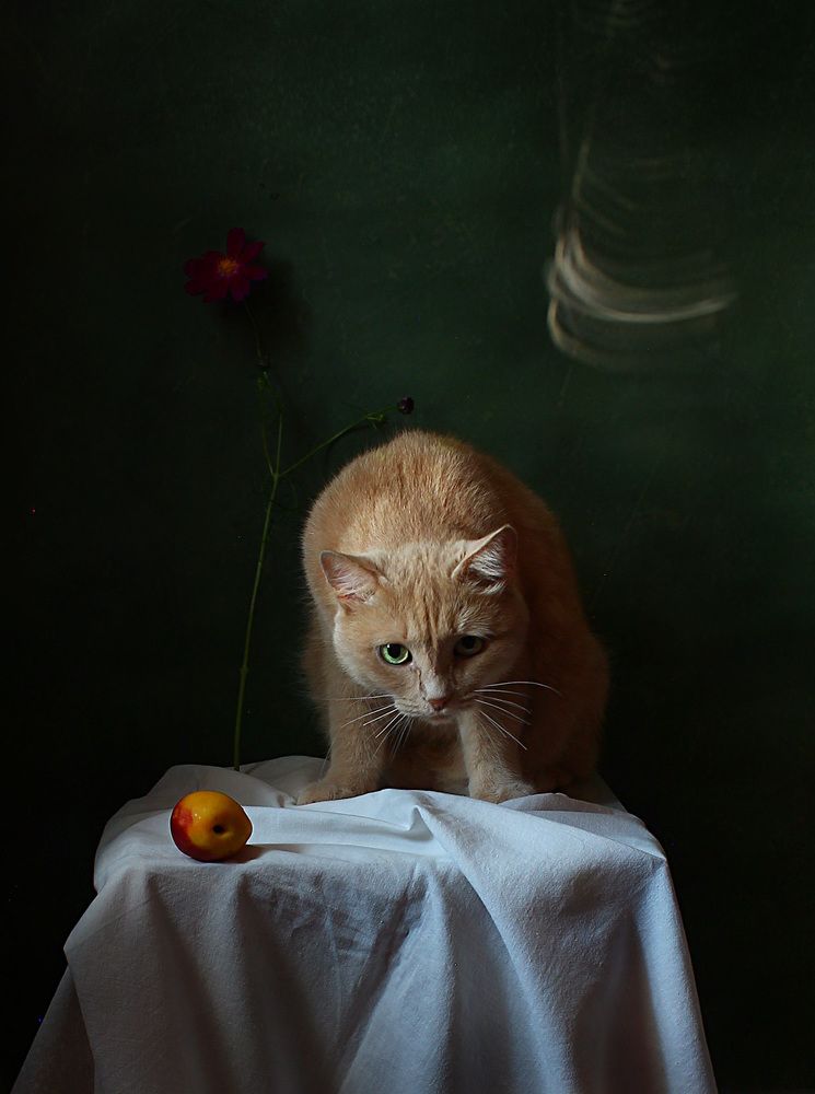 Photograph by Курочкина Диана