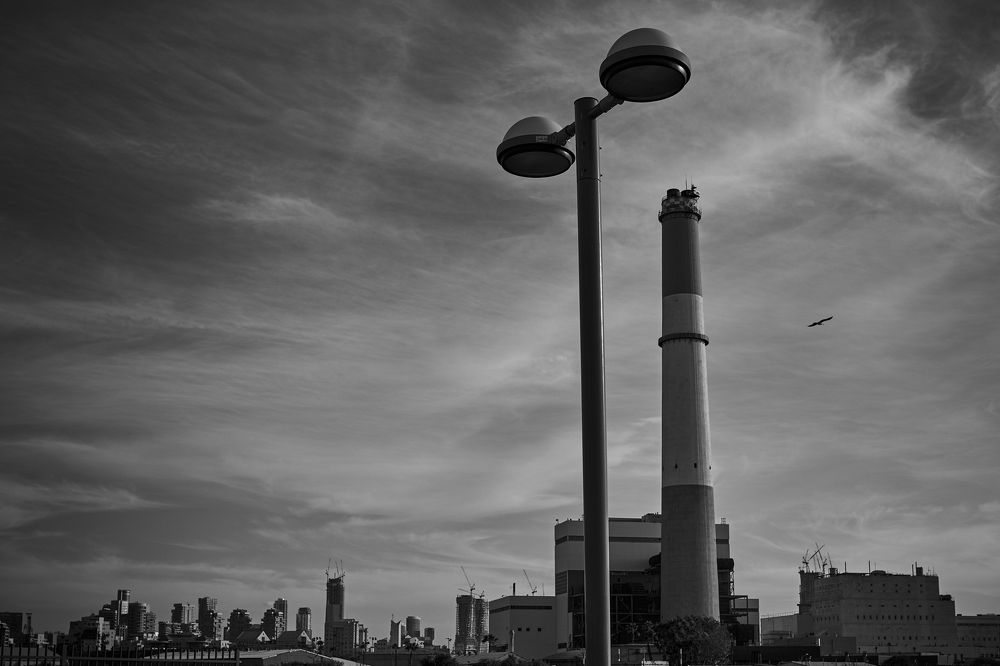 Фотография автора David Solodar