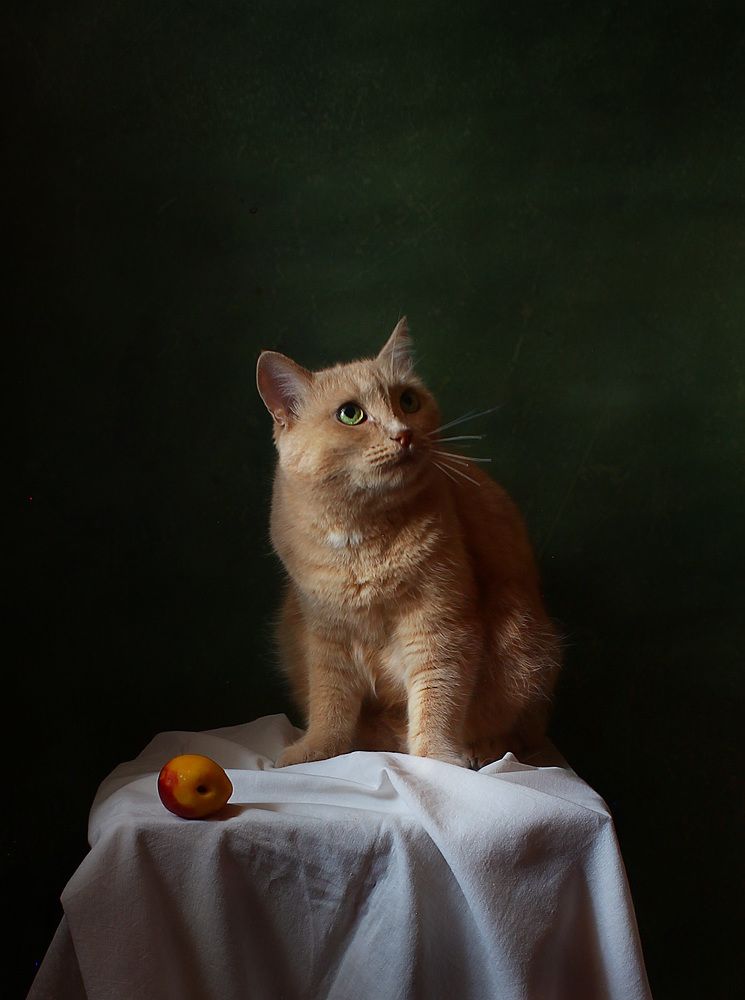 Photograph by Курочкина Диана