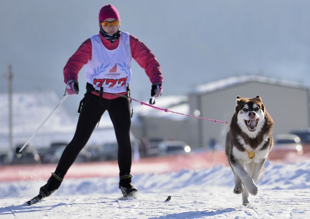 Фотография автора Сергей Чесноков