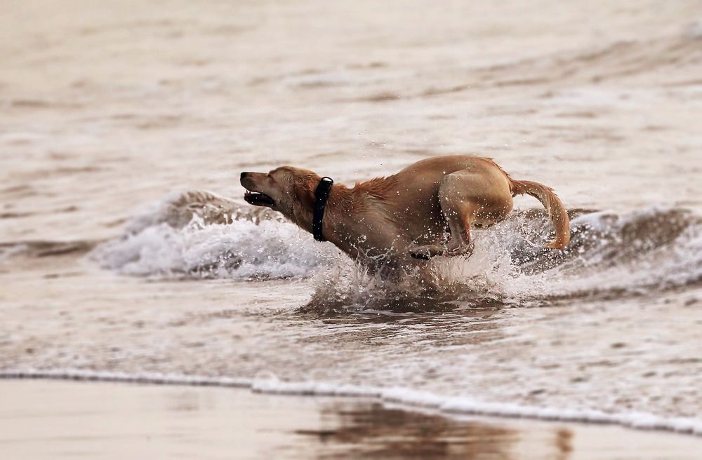 Photograph by Raed Victor Saad