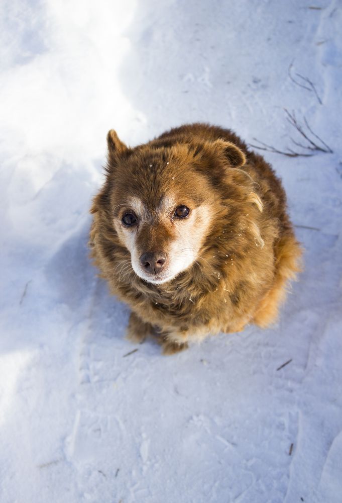 Photograph by Дарья Беляева