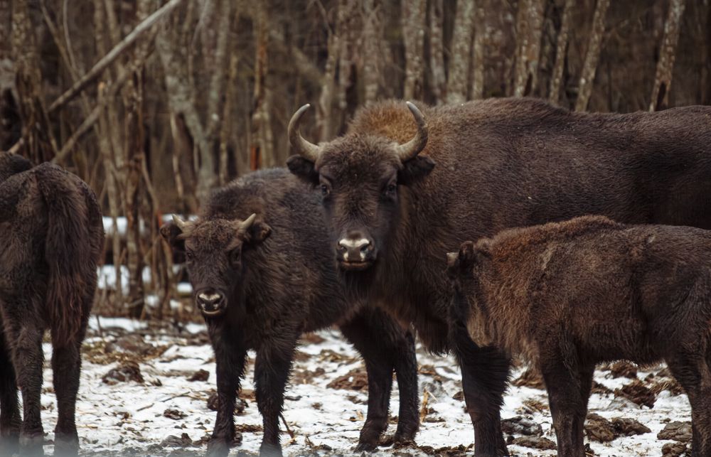 Фотография автора Алина Руденко