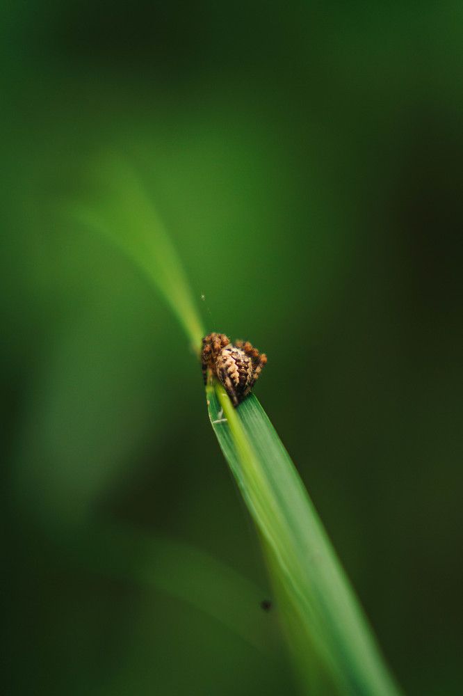 Photograph by Иван Кривоносов