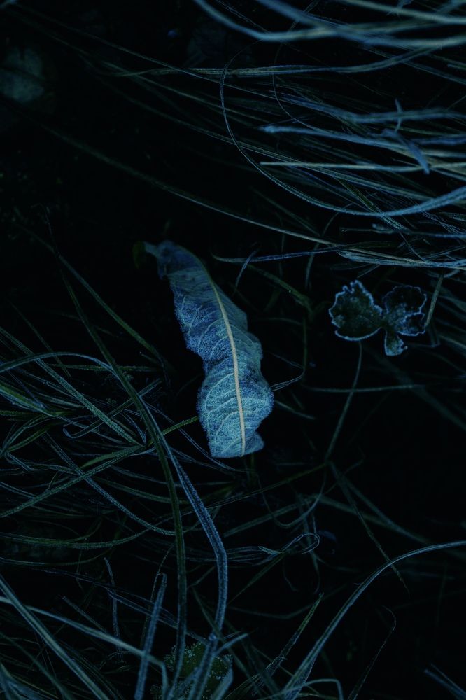 Photograph by Иван Кривоносов