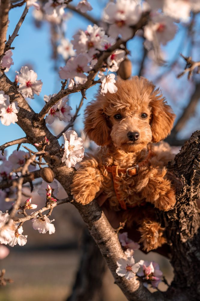 Photograph by Anastasiya Lopez Pogodina