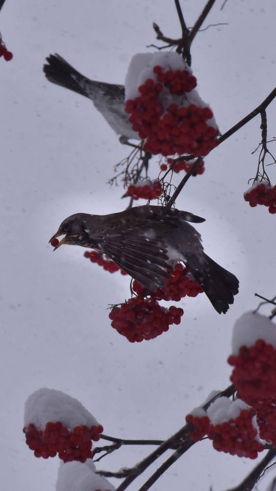 Photograph by Ljudmilla Pavljutsenkova